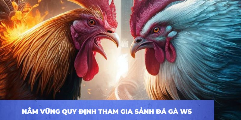 Sảnh WS168 – Thiên Đường Của Các Loại Hình Đá Gà Độc Đáo