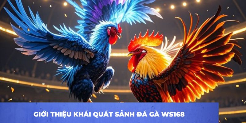 Sảnh WS168 – Thiên Đường Của Các Loại Hình Đá Gà Độc Đáo