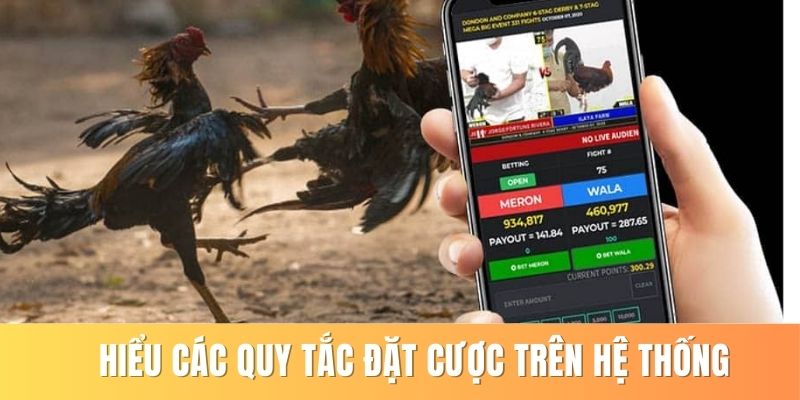 Aog - Xem Đá Gà Chất Lượng Và Cược Hấp Dẫn Tại 79king