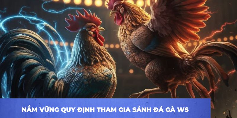 Sảnh WS168 – Thiên Đường Của Các Loại Hình Đá Gà Độc Đáo