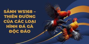 đá gà - 79king