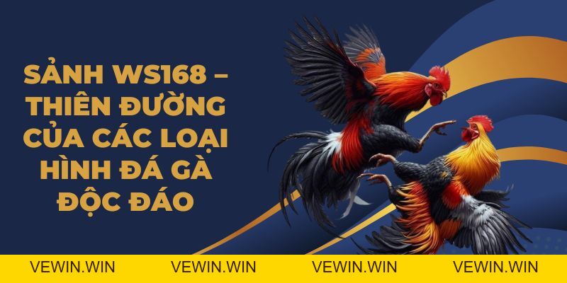 Sảnh WS168 – Thiên Đường Của Các Loại Hình Đá Gà Độc Đáo